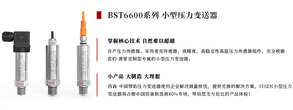 BST6600系列壓力變送器